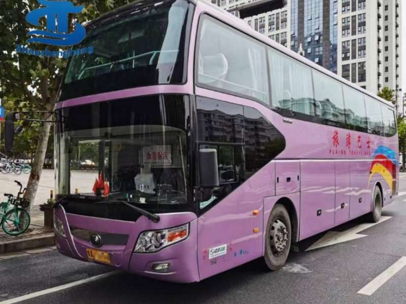 Customized Coach Bus Affordable Options For Unique Needs (2)